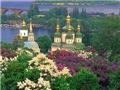 Черновецкий раздал 30 гектаров киевской земли, включая часть ботсада