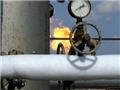 Янукович пообещал Европе бесперебойный газ