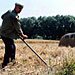 DW: Украинские аграрии бояться зоны свободной торговли с ЕС