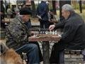 Тигипко: Украина может обанкротиться, если не повысит пенсионный возраст