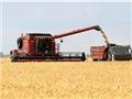 Семь фактов о зерновом кризисе