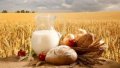 Рентабельность сельского хозяйства в Украине – 26%