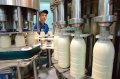 Молочный бизнес на пути к Европе