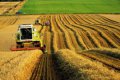 Торговая война с Россией не грозит Украине крахом сельского хозяйства