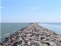 Возобновлено строительство канала Дунай-Черное море