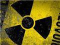 «Немецкие специалисты  подтвердили сомнения в надежности американского ядерного топлива», - эксперт