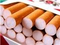 Янукович забраковал закон об акцизах
