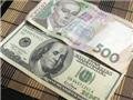 СМИ: Украинцы бросились скупать доллары
