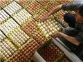В России продается птицефабрика, где гибнут миллионы цыплят