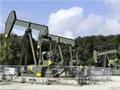 Россия и страны Персидского залива решили отвязать нефть от доллара