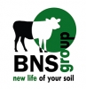 Отзывы о компании  BNS group