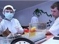 Медицинские анализы, путевки и спортивные секции станут платными