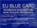 Ъ: Евросоюз ввел свои трудовые карты
