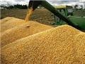 Ъ: Украина приостановила экспорт зерна