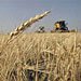 Попытка правительства ограничить экспорт зерна грозит обернуться для Украины международным скандалом