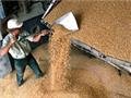 Международная ассоциация торговли зерном обвинила Украину в негласном ограничении экспорта зерна