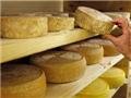 СМИ: Сыр в Украине подорожает до 100 гривен за килограмм