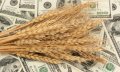 Украинский зерновой экспорт смещается на восток