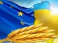Украинские агроэкспортеры осваивают рынок ЕС