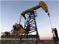 Саудовская Аравия требует компенсацию за сокращение доходов от нефти