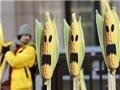 Ъ: Украина ужесточает порядок ввоза ГМО-продуктов