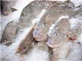 Украина готовится запретить опасную рыбу из Китая