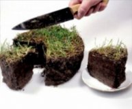 Мораторий на продажу земли в Украине опять продлили