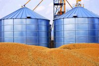 Украина перехватила рынки сбыта зерна у России