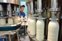 Молочный бизнес на пути к Европе
