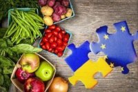 Украинская продукция слишком  хороша для ЕС - министр